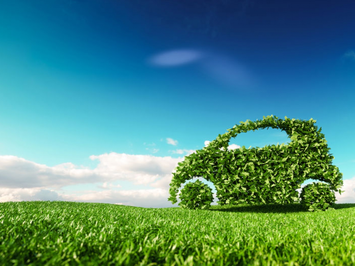 Car made out of leaves on grass with a bright blue sky in the background