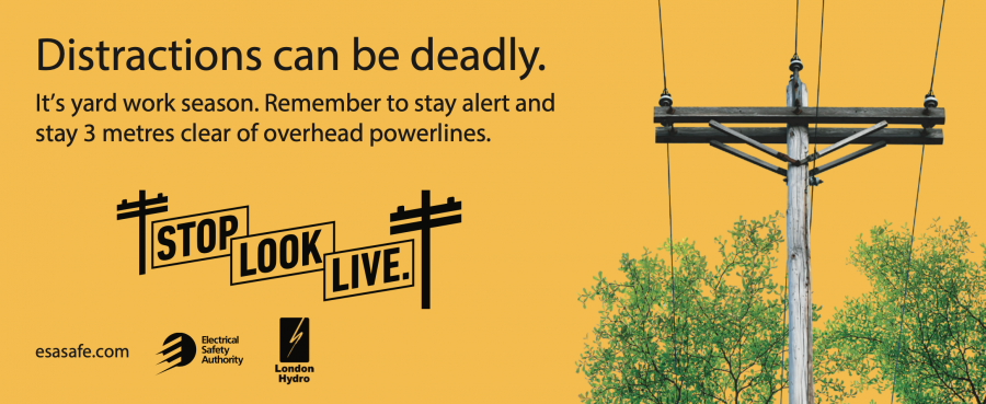 Powerline safety week graphic. Distractions can be deadly. Image of hydro pole and wires running through trees.