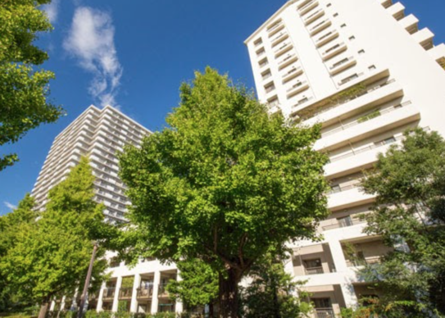 Trees in front of tall apartment buildings
