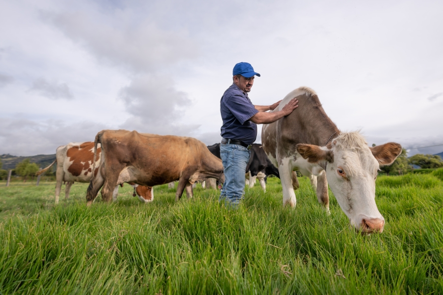 farmer-with-cow