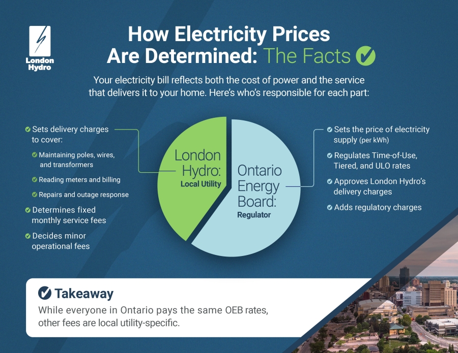 How Electricity Prices are Determined Infographic