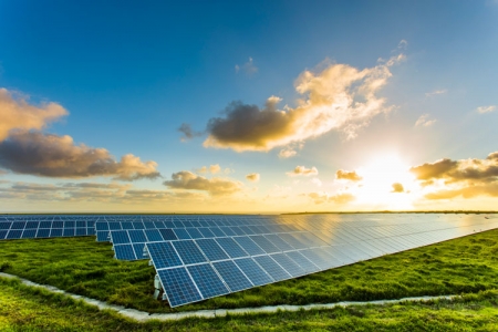 Solar panels in a field
