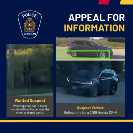 Image from the London Police Services Appealing for information from the public about the incident with the damaged pole
