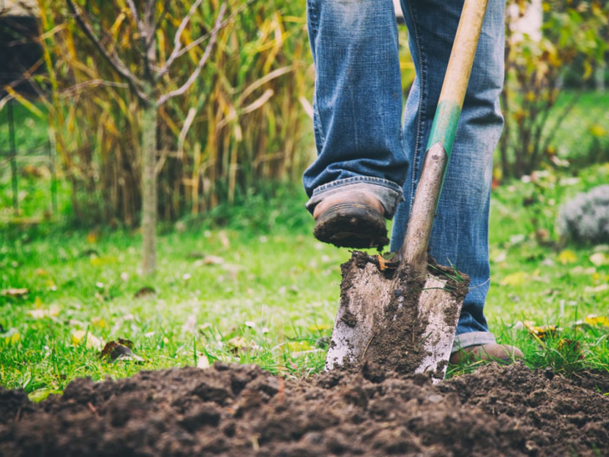 Man digging a hole in dirt with a shovel