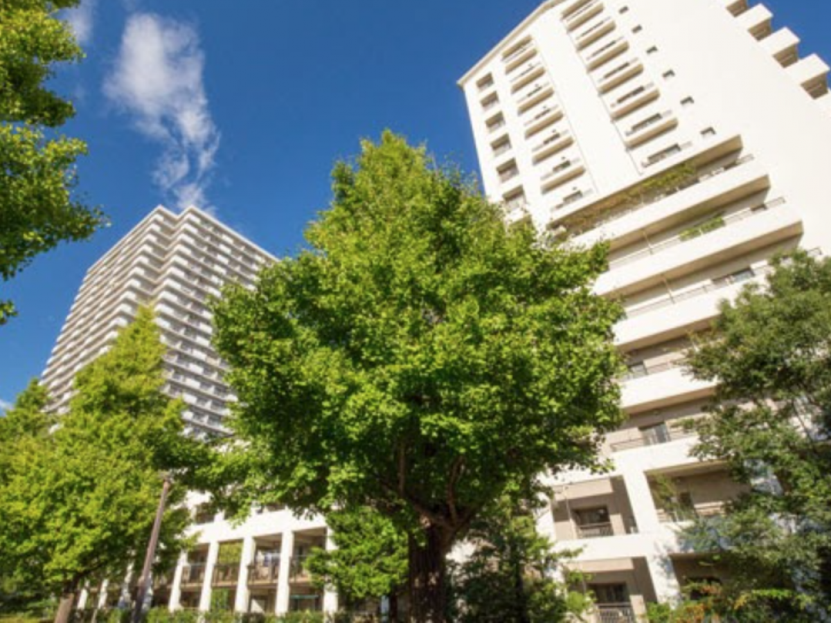 Trees in front of tall apartment buildings