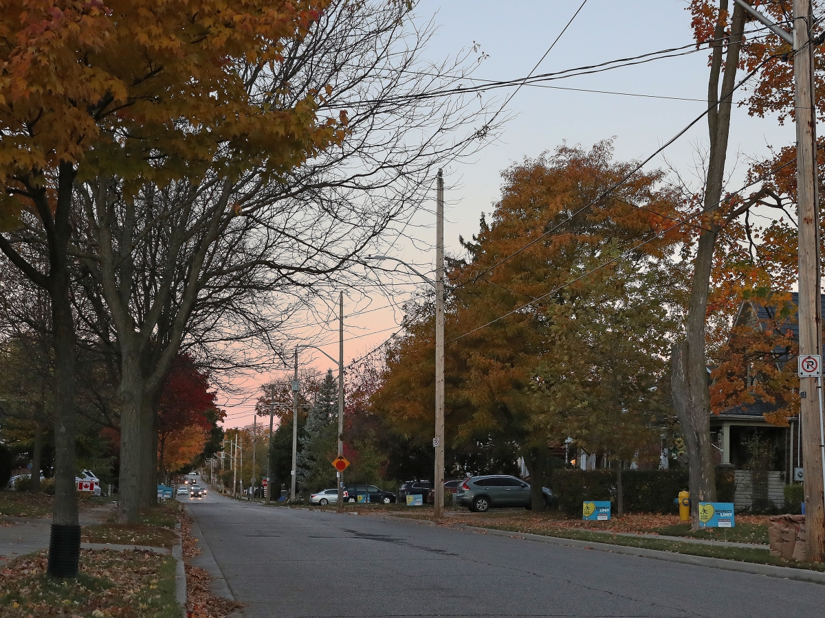 Power Lines in the Fall
