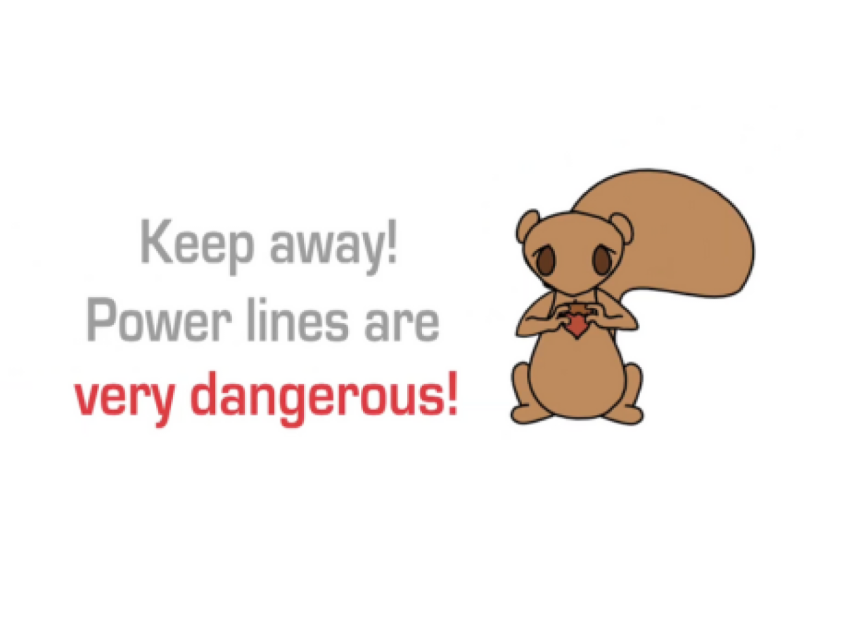 New Lucky the Squirrel